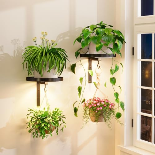 iDavosic.ly Wand Pflanzenhalter Set aus 2 Stück mit Licht, Metall Blumenständer mit 2 Haken, Wandmontage Blumenregal für Fenster, Platzsparend & Einfach zu Montieren (Ohne Töpfe/Ketten/Pflanzen)