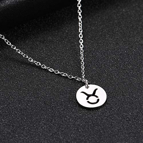 Sternzeichen Anhänger Silber,Sternzeichen Halskette Stier Sternzeichen Astrologie Halskette Silber Scheibe Anhänger Halskette Sternzeichen Geschenke für Frauen Männer Exquisite Weihnachtsge
