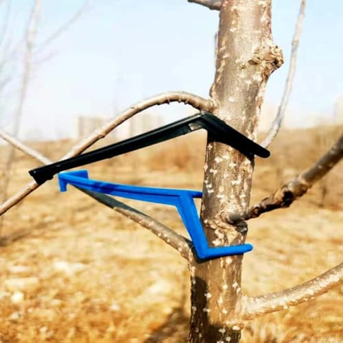 Telaio di supporto efficiente per alberi da frutto, migliora la frutta e la dolcezza