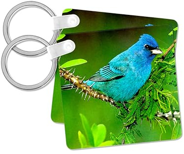 3dRose, Indigo Bunting, set of 2 Key Chains