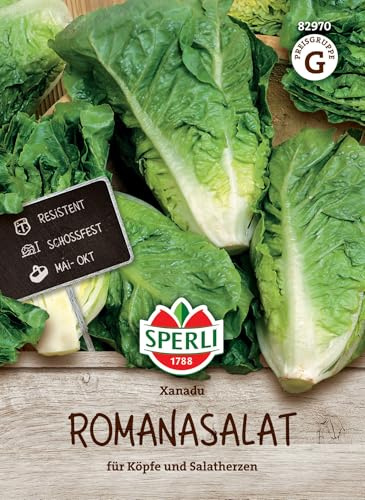 Sperli Romanasalatsamen Xanadu 82970, Gemüsesaat | Knackige Salatherzen, schossfest, kompakt