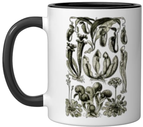Carnivorous Plants Vintage Sarracenia Botanical Ceramic Mug, Black/White