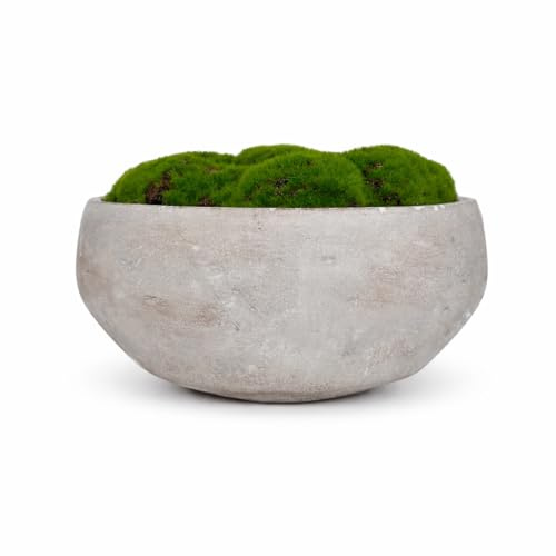 Macomine Design Hand Painted Cement Moss Bowl | 8 Inch | Artificial Moss Centerpiece | Decorative Coffee Table Bowl
