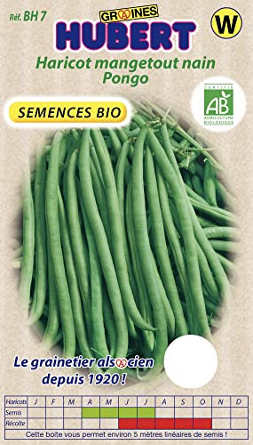 Graines de Haricot Mangetout nain Pongo BIO - 100 grammes