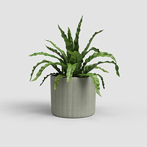 Artevasi Chloe Maceta con líneas Verticales, Maceta Decorativa, cerámica Hecha a Mano, Verde Oliva, 21 cm