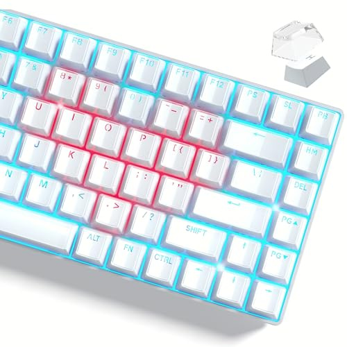 Womier Keycaps, Lusterfly Jelly Keycaps White Crystal Shine Through Custom Key caps Set 60 75 100 Percent, 118 Keys OEM Profile for 61/68/84/87/98/100 Cherry Gateron MX Mechanical (Backlit White)