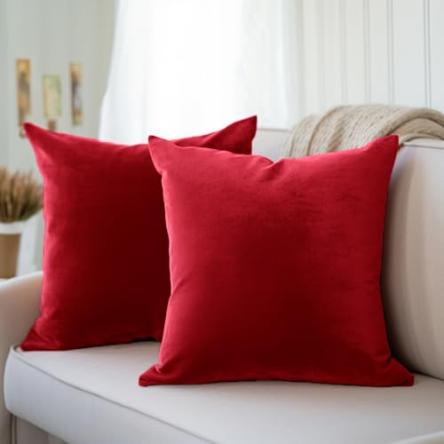 Encasa XO Sammet kuddfodral (60 x 60 cm) set med 02 | röd | lyxig fyrkantig sammet prydnadskudde överdrag med osynliga dragkedjor | vardagsrum, soffa, stol