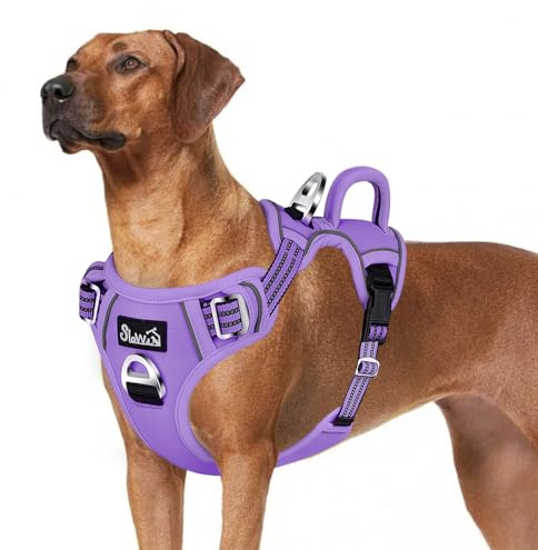 Eyein Hundegeschirr für Hunde mit 2 Clips und leicht zu bedienendem Griff | Anti Zug Brustgeschirr für große Hunde, Verstellbare & reflektierende Geschirr für tägliches Training (Lila, L)