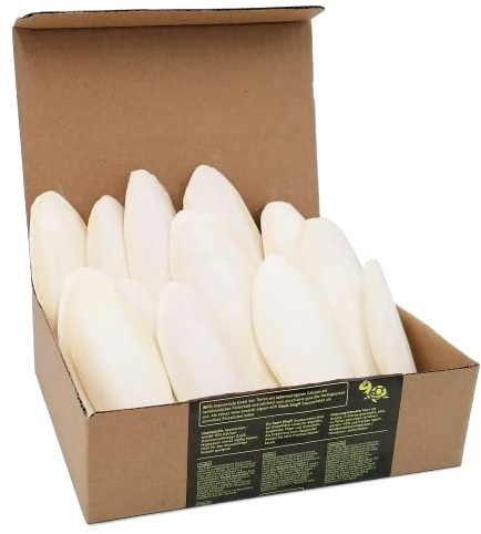 Sepia King Sepiaschalen Premium - Hochwertige Kalzium u. Vitaminversorgung, Nahrung, Futter für Reptilien, Schildkröten, Bartagamen, Vögel - Sepia Schalen Terrarium Zubehör - 12 Stück