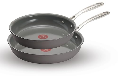 T-Fal - Juego de 2 sartenes antiadherentes de cerámica para inducción, 26,8 y 30,5 cm, color gris piedra
