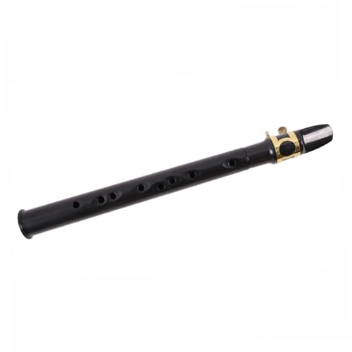 TOYANDONA Mini Saxophon Aus Kunststoff Taschensaxophon Tragbar Für Junge Mädchen Blasinstrument Für Anfänger Klein Und Leicht Geeignet Für Schulaufführungen Und Musikunterricht