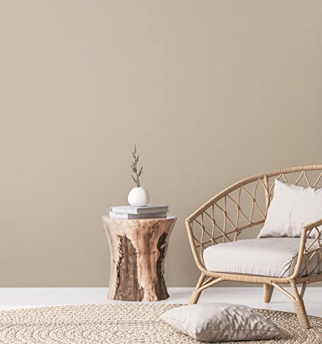 A.S. Création Unitapete Beige PVC-Frei - Natural Living 386621 - Vliestapete Vintage leicht glänzend - 10,05x0,53m Made in Germany