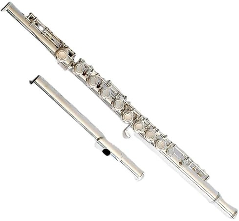 instrument de flûte traversière Flûte À Trou Fermé Plaqué Argent Flûte À 16 Trous