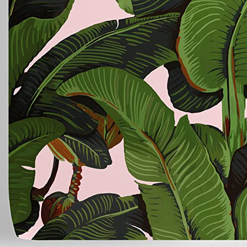 WALLPAPERS 4 BEGINNERS - Öko Tapete Moderne Bananenpflanzen Design | 8 Bögen 100x70cm, 5,5m² | Einfaches Anbringen & Entfernen | Italienische Qualität, Bananenblatt Rosa, Papier