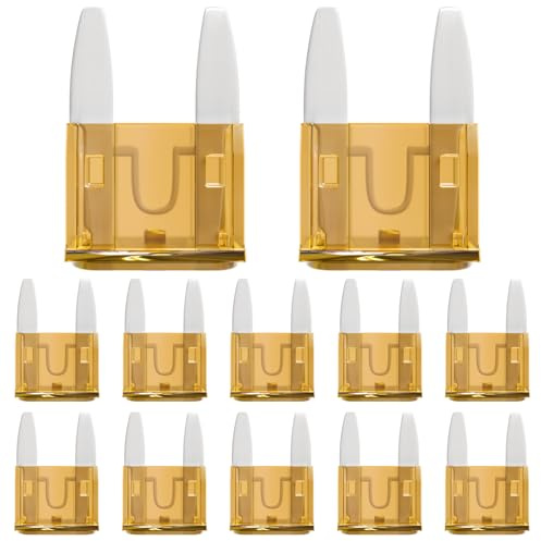 ALLECIN 50 Pezzi 5A Fusibili Auto Mini 5Amp MINI Fusibile Lamellari 5Ampere Car Fuses per Camper Camion Moto Barca