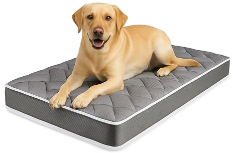 MATTREX | Colchón para Perro Tamaño 120x60x12 Fabricado en España, Reversible Invierno y Verano - Cama Perro ortopédica Transpirable, antiácaros, 12 cm Grosor Certificado Oeko-Tex