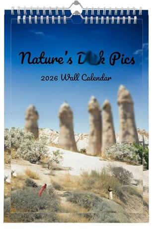 2026 Wandkalender 12 Monate - Humorvoller lustiger Monatsplaner | Beleidigender Wandkalender Tagesplaner - für Familie Erwachsene Home Office Schule Wohnzimmer Schlafzimmer Arbeitszimmer Küche