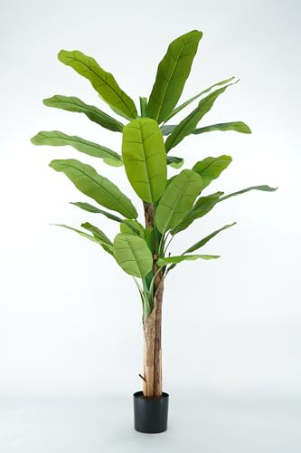 Pianta Artificiale di Banano con Corteccia Naturale, Foglie in PVC, Varie Misure, per Interni Residenziali e Commerciali (Chinquita 220 cm - 4 tronchi)