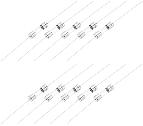 QUARKZMAN 2A 250V Fusibile in Vetro 5x20mm Fusibile a Tempo di Ritardo con Filo di Pb UL Elencato Fusibile a Lenta Soffiata per Elettrodomestici (Confezione 10)