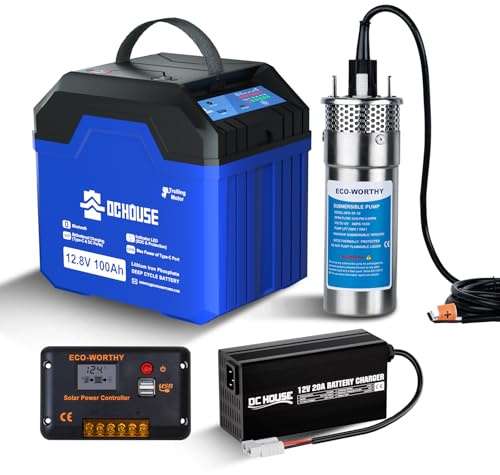 DCHOUSE Pompe submersible en acier inoxydable avec batterie 12V 100Ah, régulateur de charge solaire 20A, chargeur de batterie, convient pour étangs, piscines, bateaux de pêche