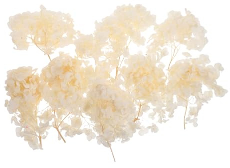 BESTYASH de Hortensia Preservados Naturales Secos para Decoración de Bodas Confeti Floral para Arreglos y Centros de Mesa