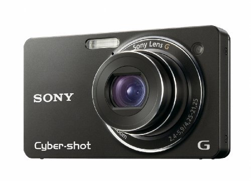 Sony Cyber-shot WX1 Compact Digital Camera - 10.2 MP, 3648 x 2736 Pixels, CMOS, 5x, HD, Black (Renewed)