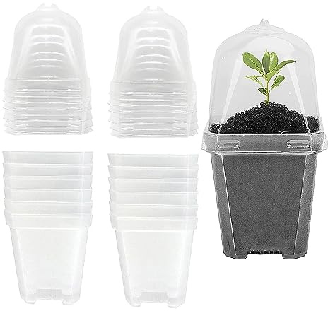 SEIWEI Växt blomma barnkammare krukor, 13,5 cm genomskinliga plastfrön frökrukor med fuktighet kupol och bricka, fyrkantiga blomkrukor för grönsaker blommor suckulenter, paket med 12