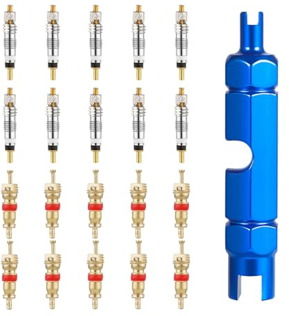 20pcs Noyau de Valve pour Presta et Schrader, Outil de Valve Remplacement de Vélo avec Outil de Retrait du Noyau de Valve en Métal pour Pneus de Vélo de Route VTT sans Chambre à Air