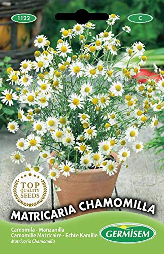 Germisem Matricaria Chamomilla Semi 1 g