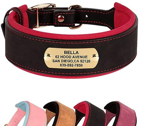 Didog Weich Gepolstertes Personalisiertes Hundehalsband, Breites Leder-Hundehalsband mit Namensschild, Verstellbares Custom Hundehalsband mit Metallschnalle für mittelgroße große Hunde, Schwarz M