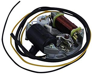 Citomerx Hercules Puch Lichtmaschine Zündung 6 Volt 17 Watt | Kompatibel mit Prima 2 3 4 5 S M Mofa Moped