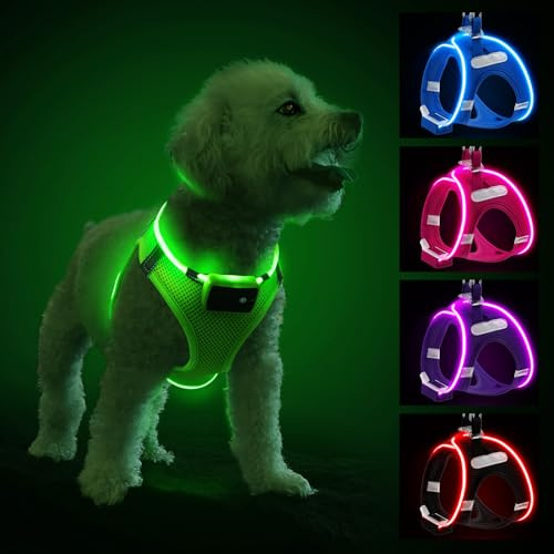 PcEoTllar Leuchtgeschirr LED, aufladbar & reflektierend für Hunde, Grün-M | Hundegeschirr leuchtend, beleuchtetes Leuchtgeschirr für Welpe, kleine & mittlere Hunde. Atmungsaktiv, 9 Modi.