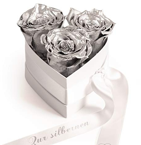 Infinity Rosenbox Silberhochzeit Geschenk Herzform Rosenherz konserviert Jubiläum 25 Jahre (Silber, 3 Infinity Rosen)