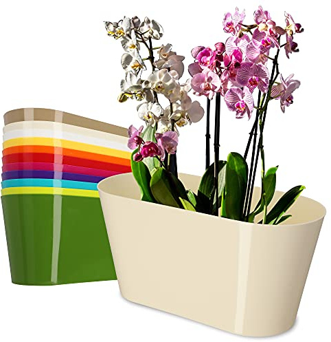 KADAX Blumentopf aus Kunststoff, 27 x 13 cm, breiter Topf, ovaler Pflanzentopf, Blumenübertopf für Orchideen, Bellis, Stiefmütterchen, Drazänen (Ecru)