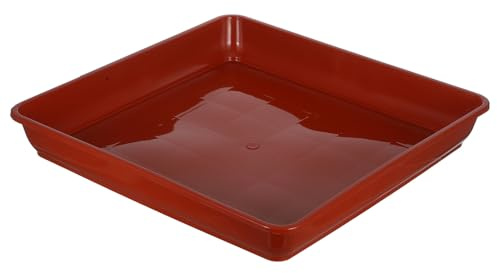 SUPVOX 2 Pezzi Sottovaso per Bonsai e Piante Stabile e per Ed Esterni per e