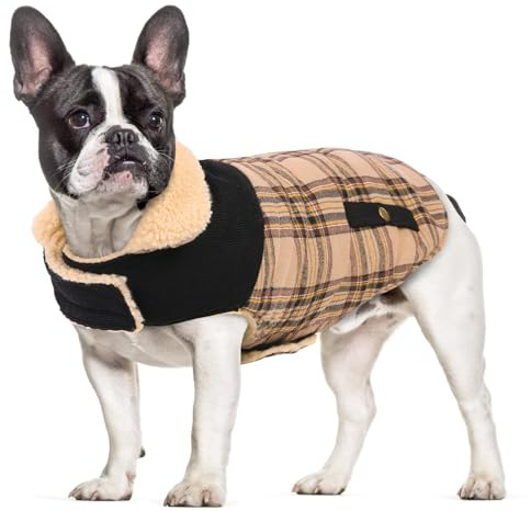 CITÉTOILE Warme Hundemantel Fleece mit Geschirrloch Beige L | Windschutz Hundejacke für Kleine/Große/Mittlere Hunde, Hundekleidung mit Bauchschutz für Outdoor & Indoor