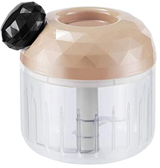 LOSOO Zwiebelschneider Manuell, 300ml Klein Gemüsezerkleinerer, Gemüseschneider Und Mixer Multizerkleinerer Mit 3 Edelstahlklingen Für Zwiebeln,Gemüse,
