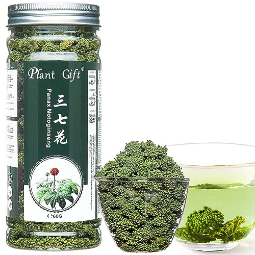 Plant Gift Panax Notoginseng Flower, 三七花 Panax Notoginseng Blume, Sanchi Ginseng Blume, Tierchi Notoginseng Tee, Sanqi, Gesundheit Kräutertee, Tierchi Ginseng 60g / 2.12oz