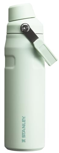 Stanley IceFlow 24oz Quick Flow Water Bottle, Angled Spout Lid, Lightweight and Leakproof for Travel and Sports, Insulated Stainless Steel, BPA Free, Mist