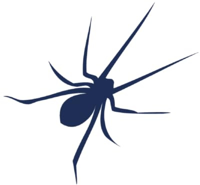 Tattwo.me – Temporäre Tattoos für Erwachsene und Kinder, hält 2 Wochen, wasserfest – Spinne – Pflanzliche Tinte – EU-Kosmetik-Zertifikat – (P0711)