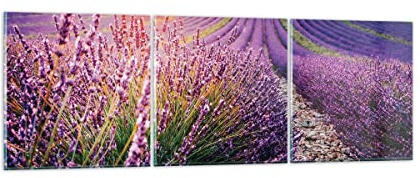 Bilder auf Glas 90x30cm Wandbild Glasdruck Botanik Landschaften - 4703 | Feld Lavendel Sonne Mehrteilige Klein Modern Dekoration Wohnzimmer Schlafzimmer Küche Wanddeko Kunstdruck Art ARTTOR