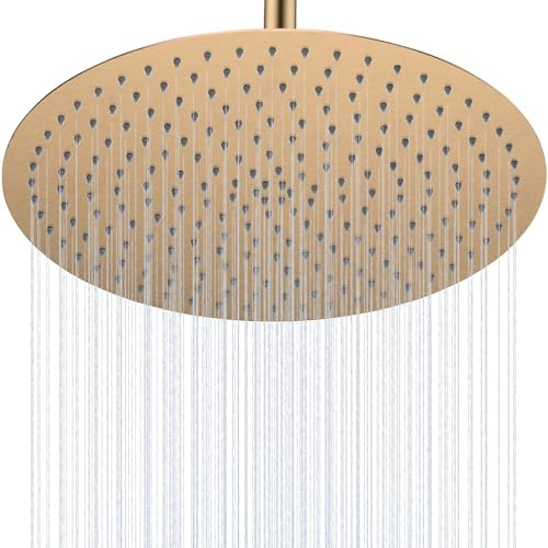 HOMYEP Soffione doccia a pioggia color oro, extra large, montaggio a parete a soffitto, soffione doccia a pioggia, soffione rotondo in acciaio inox non sottile, ottone spazzolato