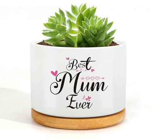 Wixelon Cadeaux pour maman, maman, cadeaux d'anniversaire, pots de plantes succulentes pour maman, cadeaux d'anniversaire pour maman, cadeaux d'anniversaire pour maman, cadeaux pour maman