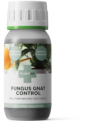 Fungus Gnat Control and Plant Food. Effective against fungus gnats, larvae and pests that destroy your house plants. Helps create healthy house plants.