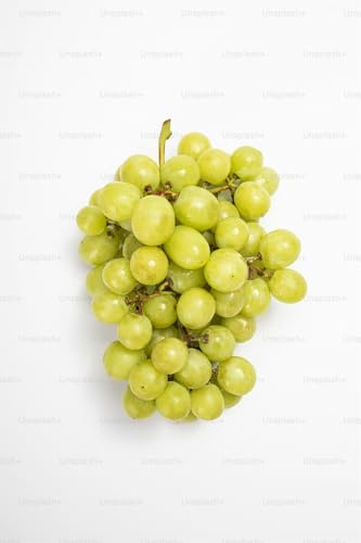 Rizomi d'uva da vino, resistente all'inverno, alta qualità, viti, multicolore ad alta resa. Diverse zone climatiche