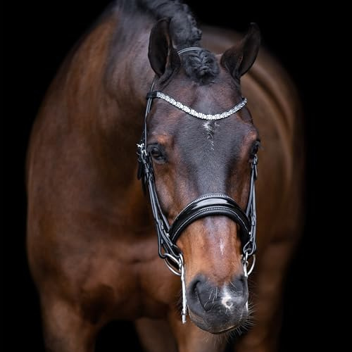 Imperial Riding Kandarenzaum IRHOlympia, Black-Silver, F/S
