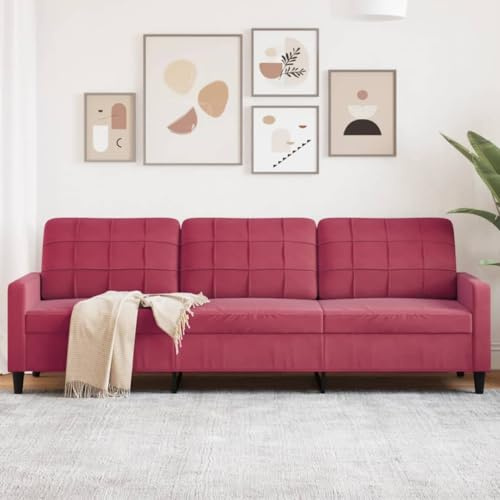 Emmtore Sofa 3-Sitzer, Polstersofa für Wohnzimmer, Couch Loungesofa Metallgestell, Dreisitzer Samtsofa Sitzmöbel, Modern Weinrot,210 cm