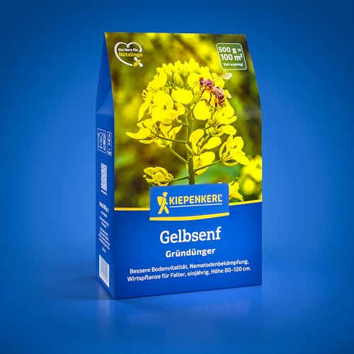 Kiepenkerl Gelbsenf 1080900, Gründüngungssaat | Wirtspflanze für Falter, Gründünger, Bodenlockerung, Bodenverbesserer, Höhe 80-120 cm, einjährig