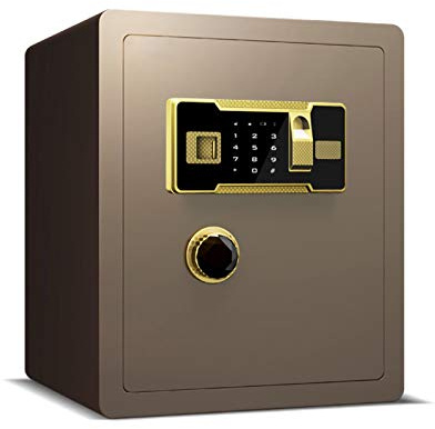 Cassaforte in Acciaio e Resistente al Fuoco Impronte digitali, Password Elettronica più Maniglia Rotante, Cassetta Sicurezza ignifuga con Tastiera Digitale, per medicinali, Soldi, Documenti, Oggetti