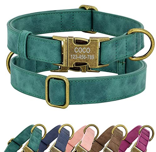 Didog Personalisiertes Leder-Hundehalsband, weiches langlebiges individuelles verstellbares Hundehalsband mit Namensschild Schnellverschluss-Metallschnalle für kleine, mittelgroße große Hunde, grün, M